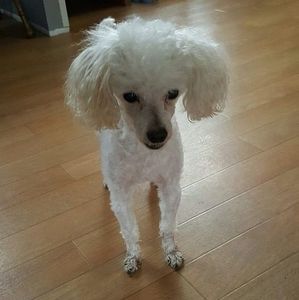 Meet your Posher, Ed